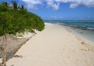 Jhony Kay playa San Andres