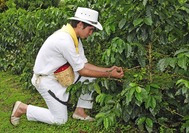 Viajes a Colombia | Finca Cafetera