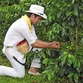 Viajes a Colombia | Finca Cafetera