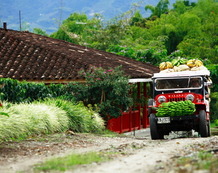 Viajes a Colombia | Eje Cafetero Willy Jeep