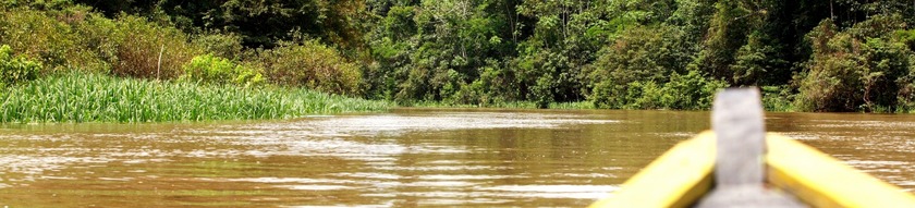 Viajes a Colombia / Ro Amazonas